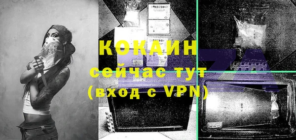 гашик Кущёвская