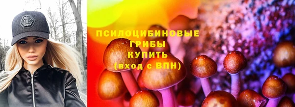 мет Калининец