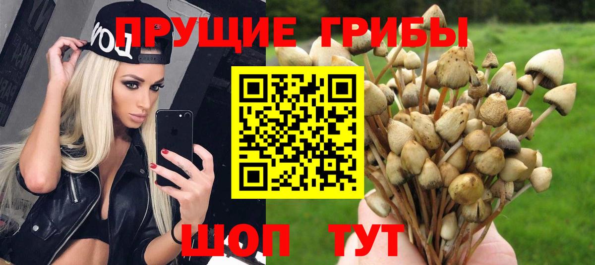 Псилоцибиновые грибы мухоморы Братск