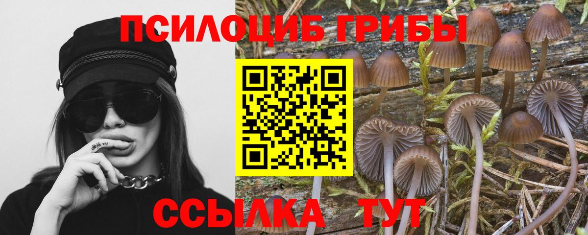 Псилоцибиновые грибы MAGIC MUSHROOMS  Вход с VPN  Псилоцибиновые грибы Cubensis  Братск 