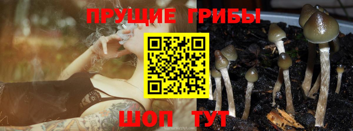 Галлюциногенные грибы MAGIC MUSHROOMS Братск
